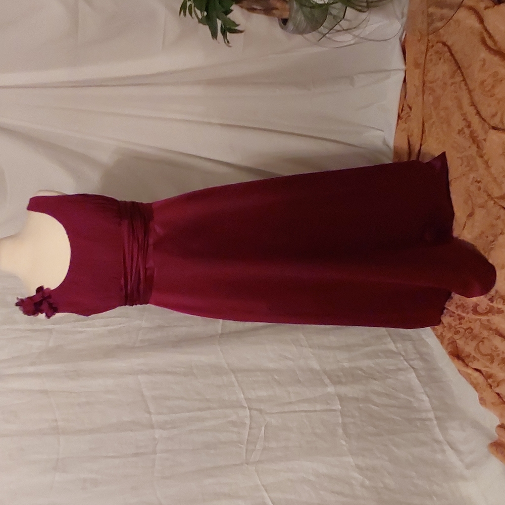 David's Bridal Burgundy Satiny Formal Dress